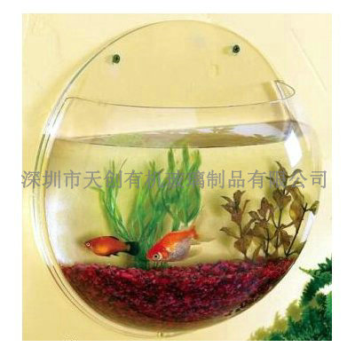 生態(tài)魚(yú)缸